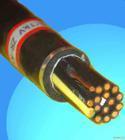 鎧裝式通信電纜5x2x0.6 天津市電纜總廠第一分廠的專業(yè)通訊解決方案