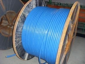 耐高溫計(jì)算機(jī)電纜規(guī)格解析及其在通信與控制系統(tǒng)中的關(guān)鍵應(yīng)用